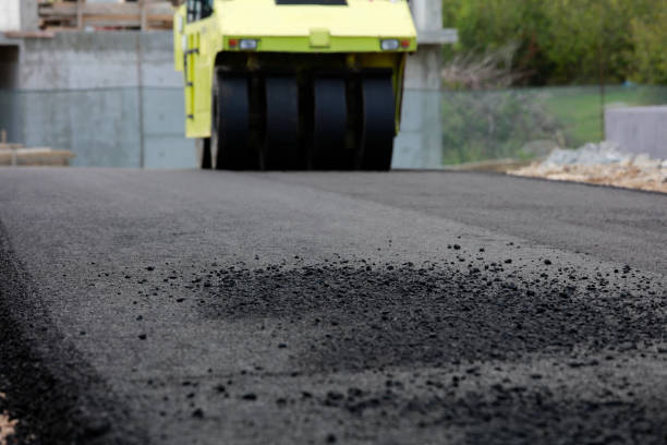 Best Driveway Paving Near Me  in Madeira Beach, FL